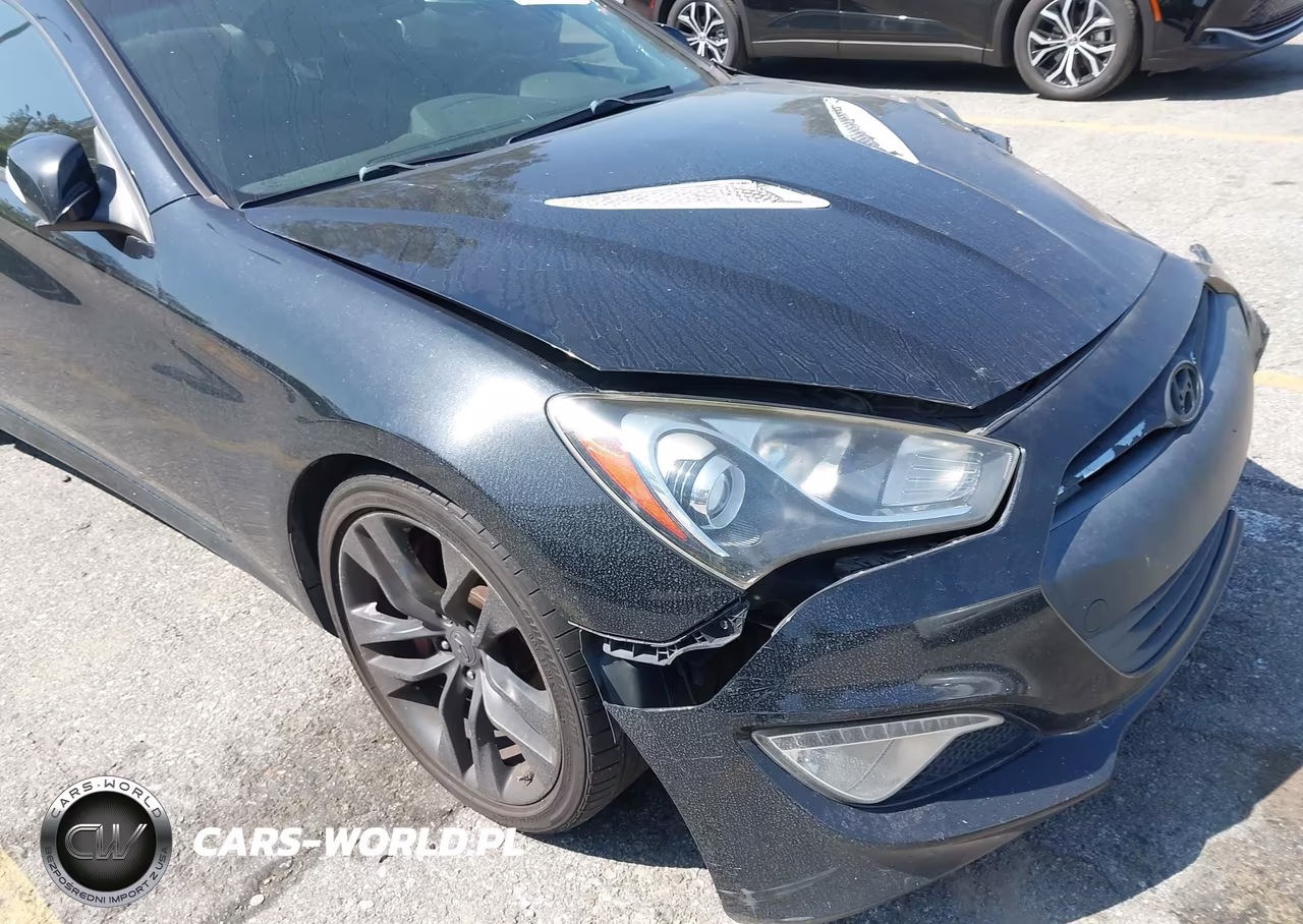 2013 Hyundai Genesis 3.8 Track VIN:KMHHU6KJ5DU107040 - 13
