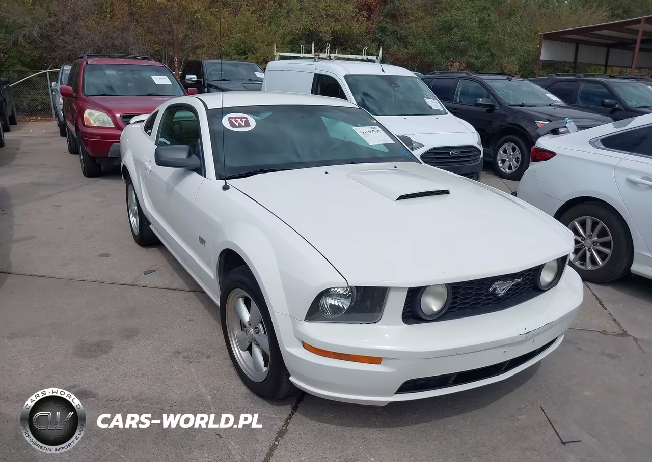 2007 Ford Mustang Gt Deluxe-Gt Premium VIN:1ZVFT82H675342209 - 1