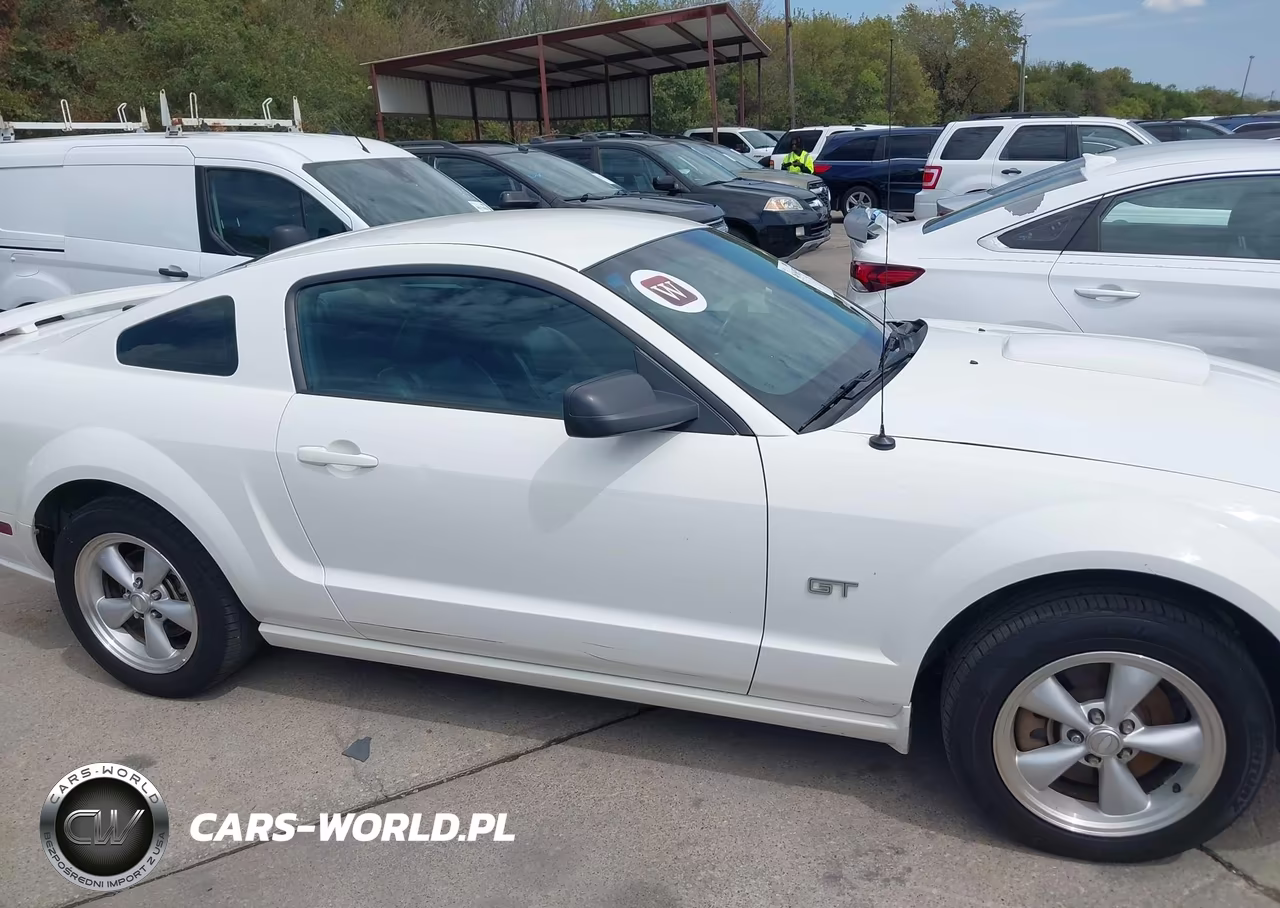 2007 Ford Mustang Gt Deluxe-Gt Premium VIN:1ZVFT82H675342209 - 13