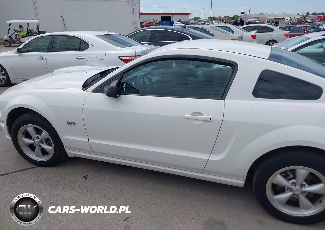 2007 Ford Mustang Gt Deluxe-Gt Premium VIN:1ZVFT82H675342209 - 14