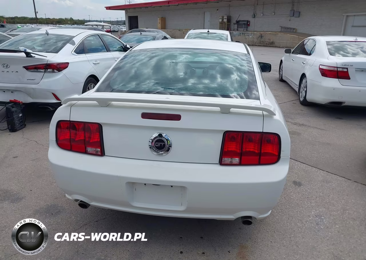 2007 Ford Mustang Gt Deluxe-Gt Premium VIN:1ZVFT82H675342209 - 16
