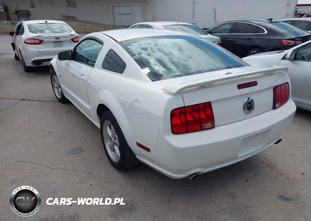 2007 Ford Mustang Gt Deluxe-Gt Premium VIN:1ZVFT82H675342209 - 3