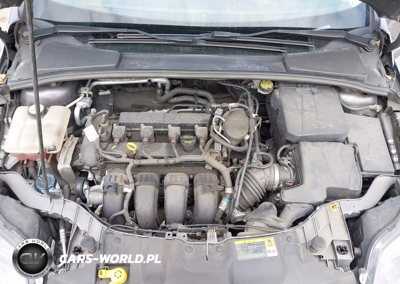 2012 Ford Focus Titanium VIN:1FAHP3N28CL460395 - 10