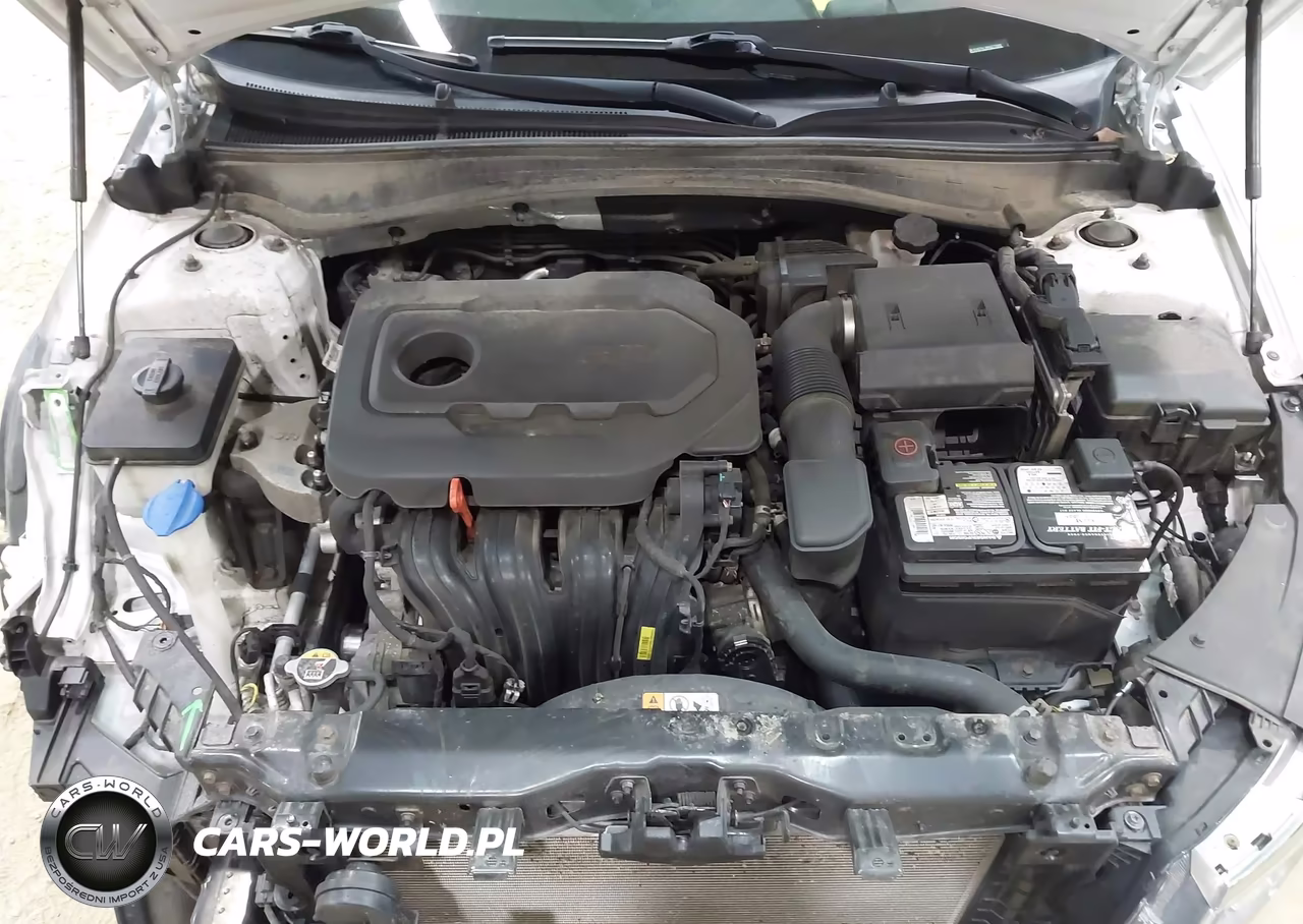 2019 Kia Optima Lx VIN:5XXGT4L36KG275960 - 10