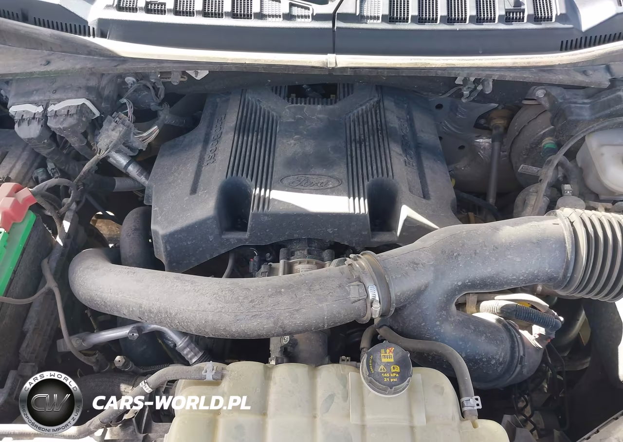 2019 Ford F-150 Limited VIN:1FTEW1EG5KFC90042 - 10