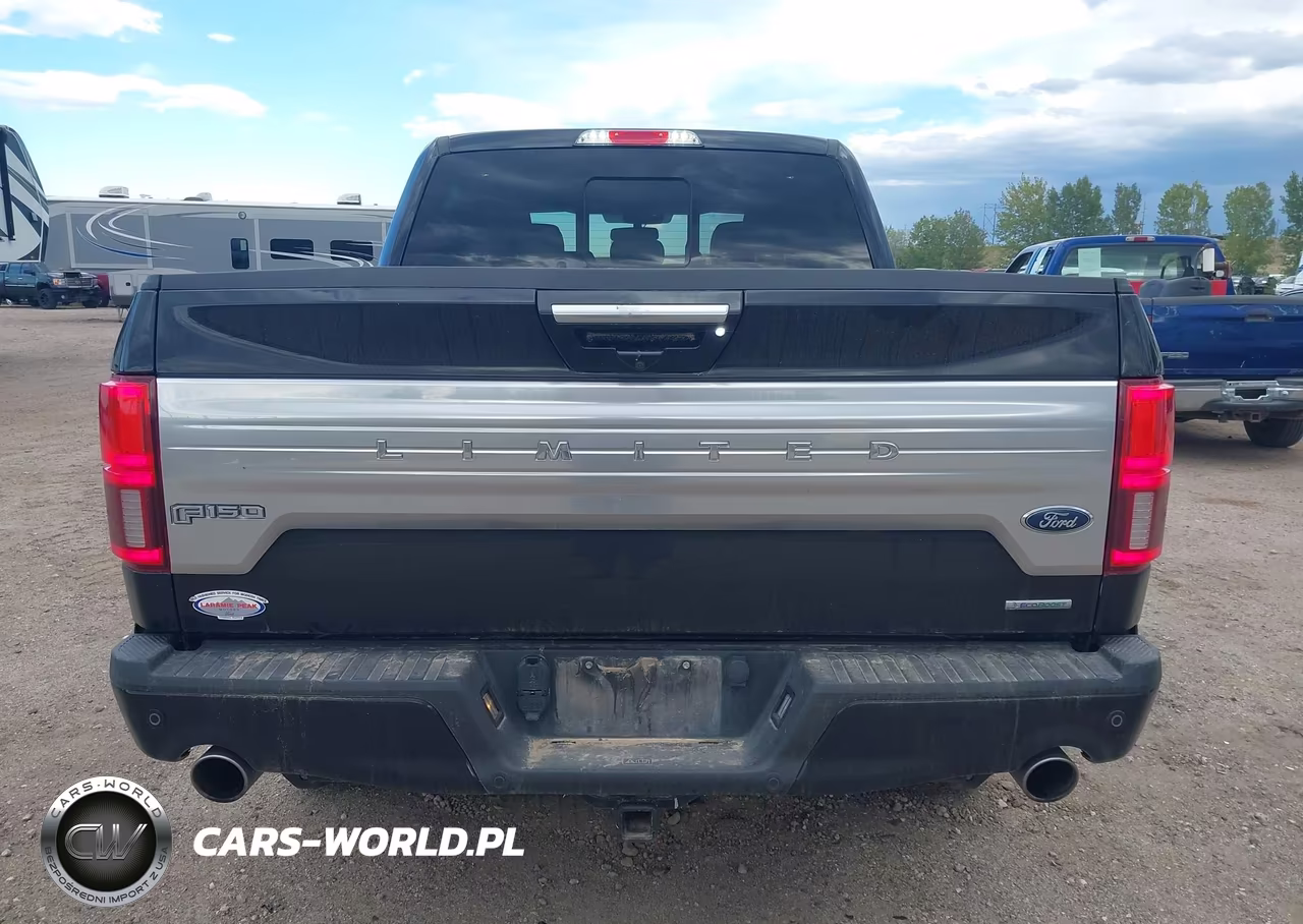 2019 Ford F-150 Limited VIN:1FTEW1EG5KFC90042 - 17