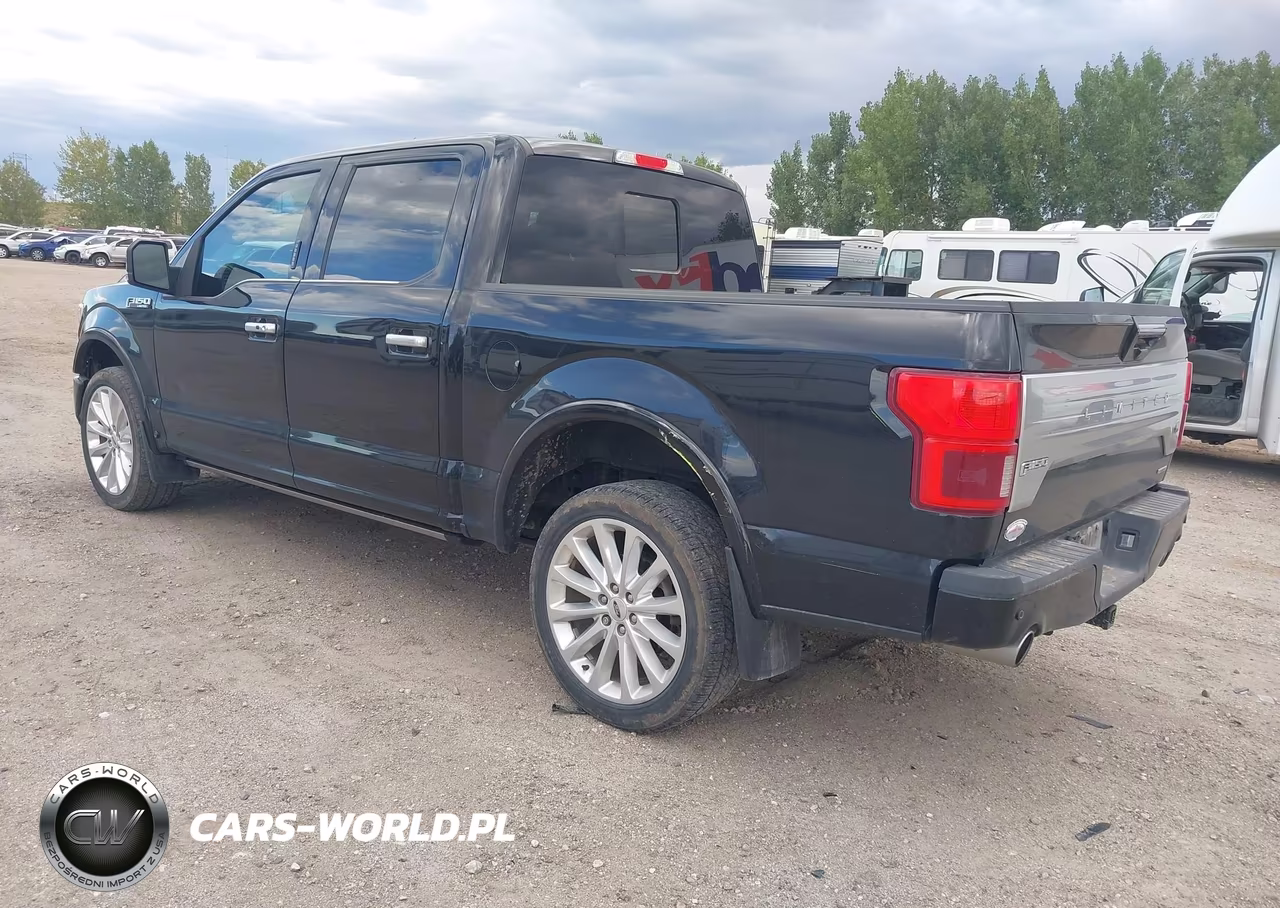 2019 Ford F-150 Limited VIN:1FTEW1EG5KFC90042 - 3