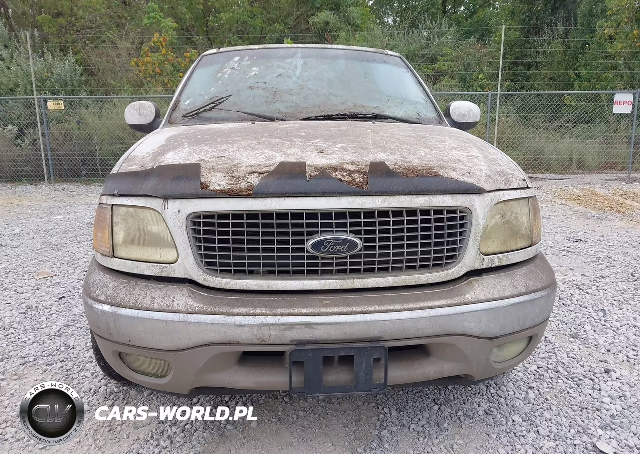 2001 Ford Expedition Eddie Bauer VIN:1FMRU17L81LB82916 - 6