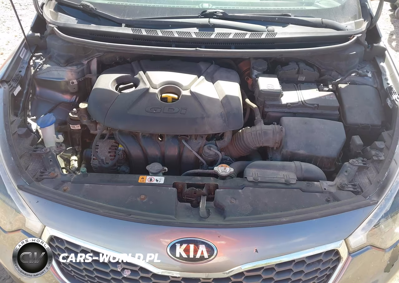 2014 Kia Forte Ex VIN:KNAFX5A86E5181622 - 10
