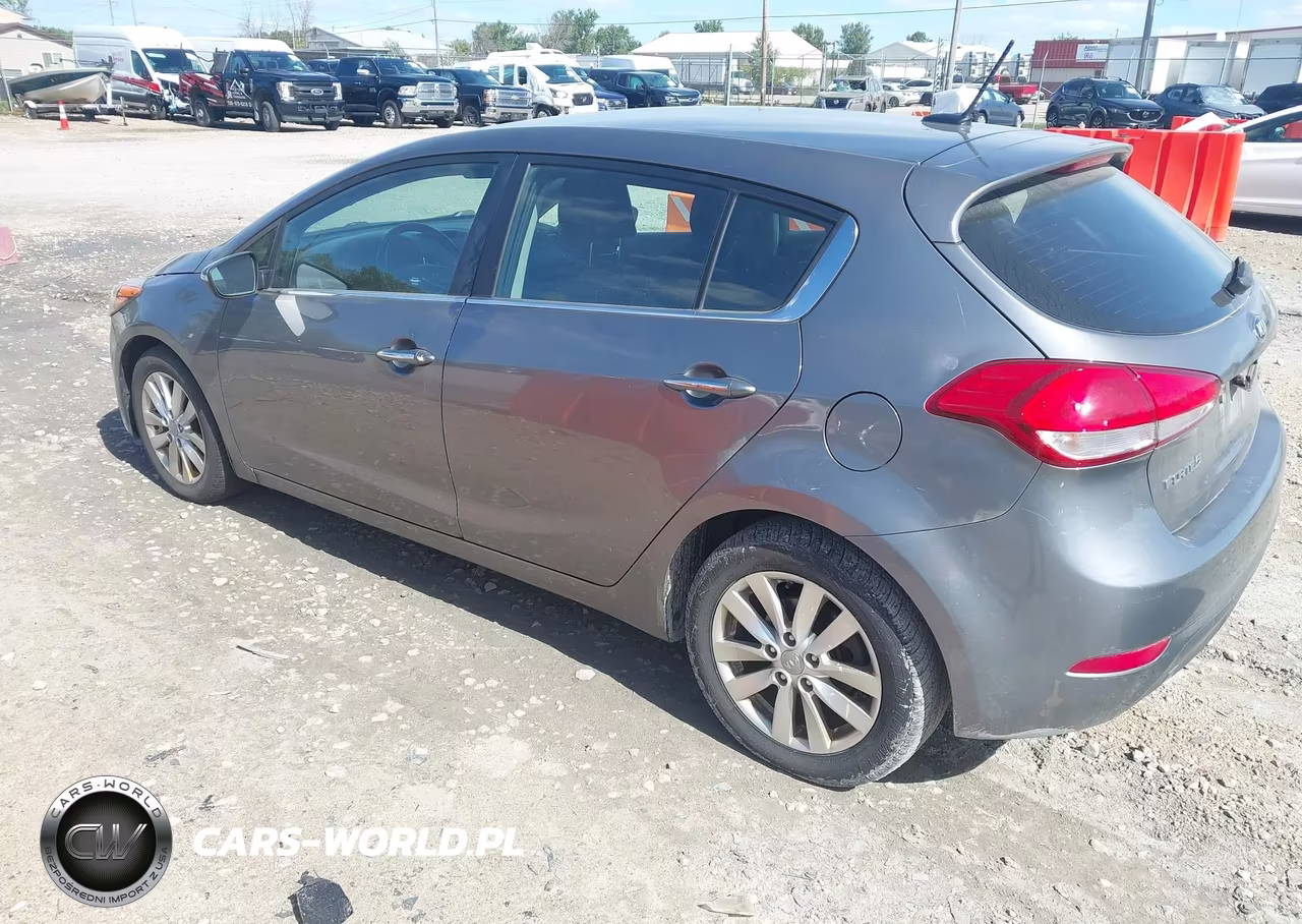2014 Kia Forte Ex VIN:KNAFX5A86E5181622 - 3
