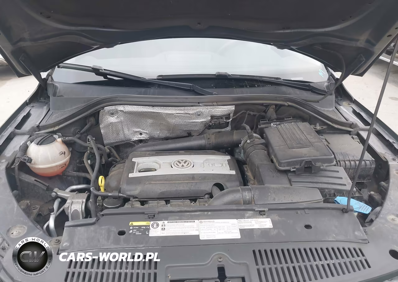 2017 Volkswagen Tiguan 2.0T-2.0T S VIN:WVGAV7AX1HK027584 - 10
