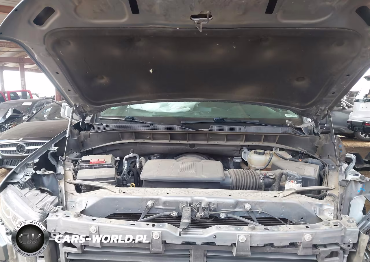 2019 Chevrolet Silverado 1500 Lt Trail Boss VIN:1GCPYFED6KZ424030 - 10