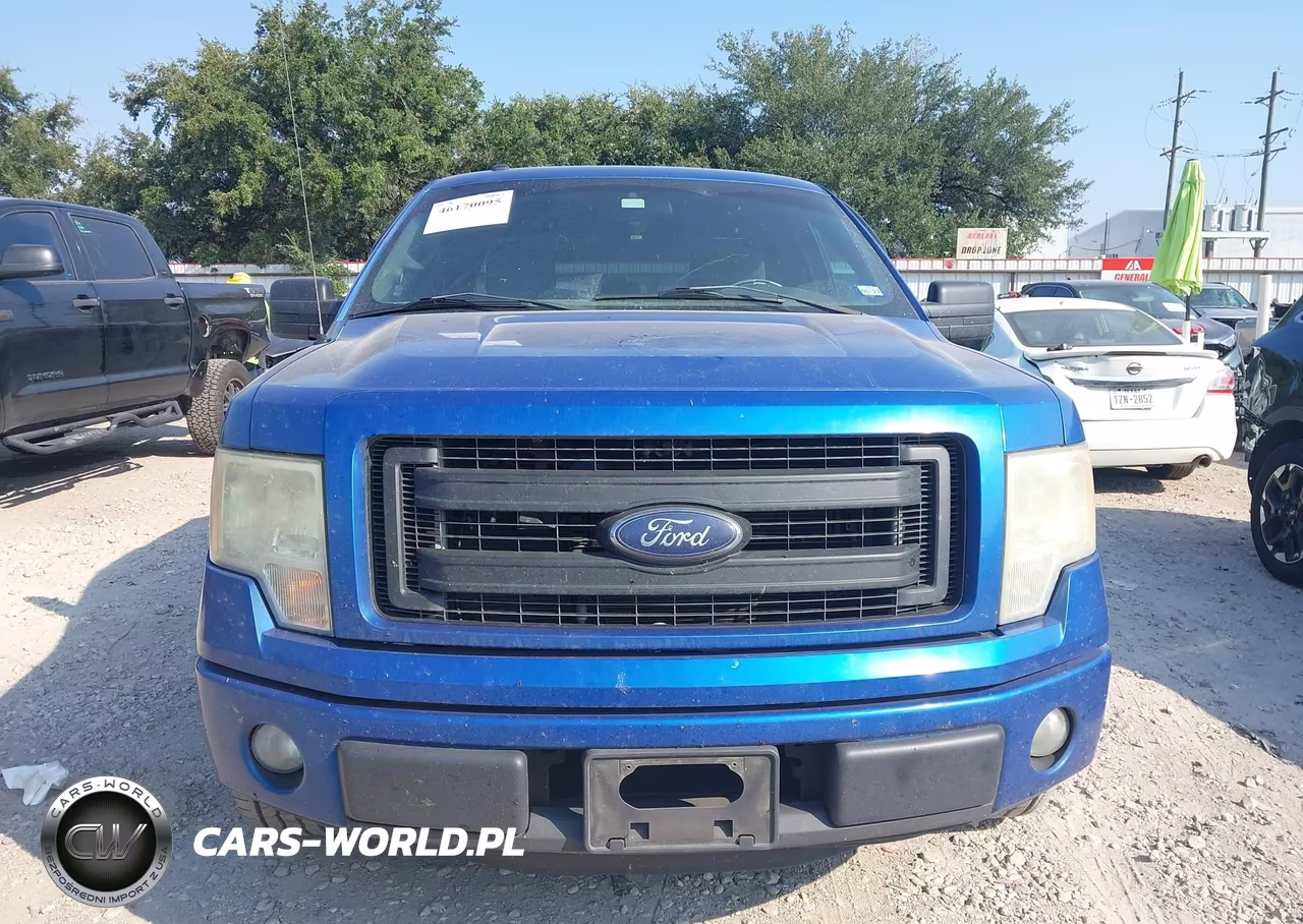 2013 Ford F-150 Stx VIN:1FTFX1CF3DKD76861 - 12