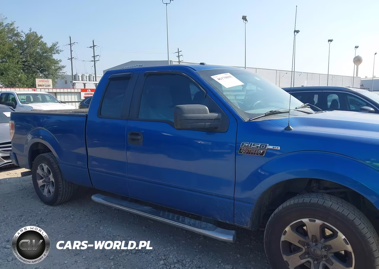 2013 Ford F-150 Stx VIN:1FTFX1CF3DKD76861 - 13