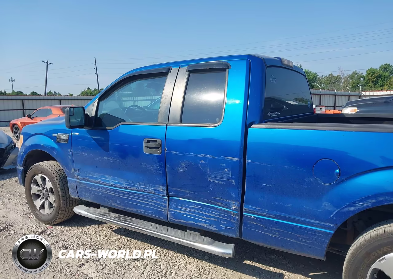 2013 Ford F-150 Stx VIN:1FTFX1CF3DKD76861 - 14