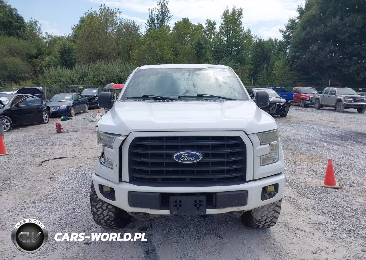 2016 Ford F-150 Xlt VIN:1FTEW1EG5GKD12815 - 12