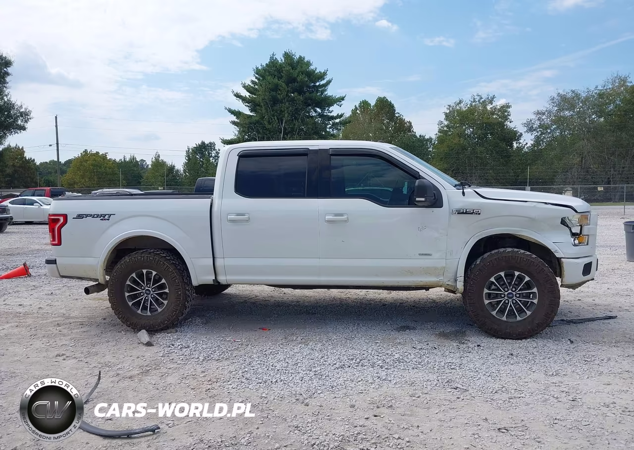2016 Ford F-150 Xlt VIN:1FTEW1EG5GKD12815 - 13
