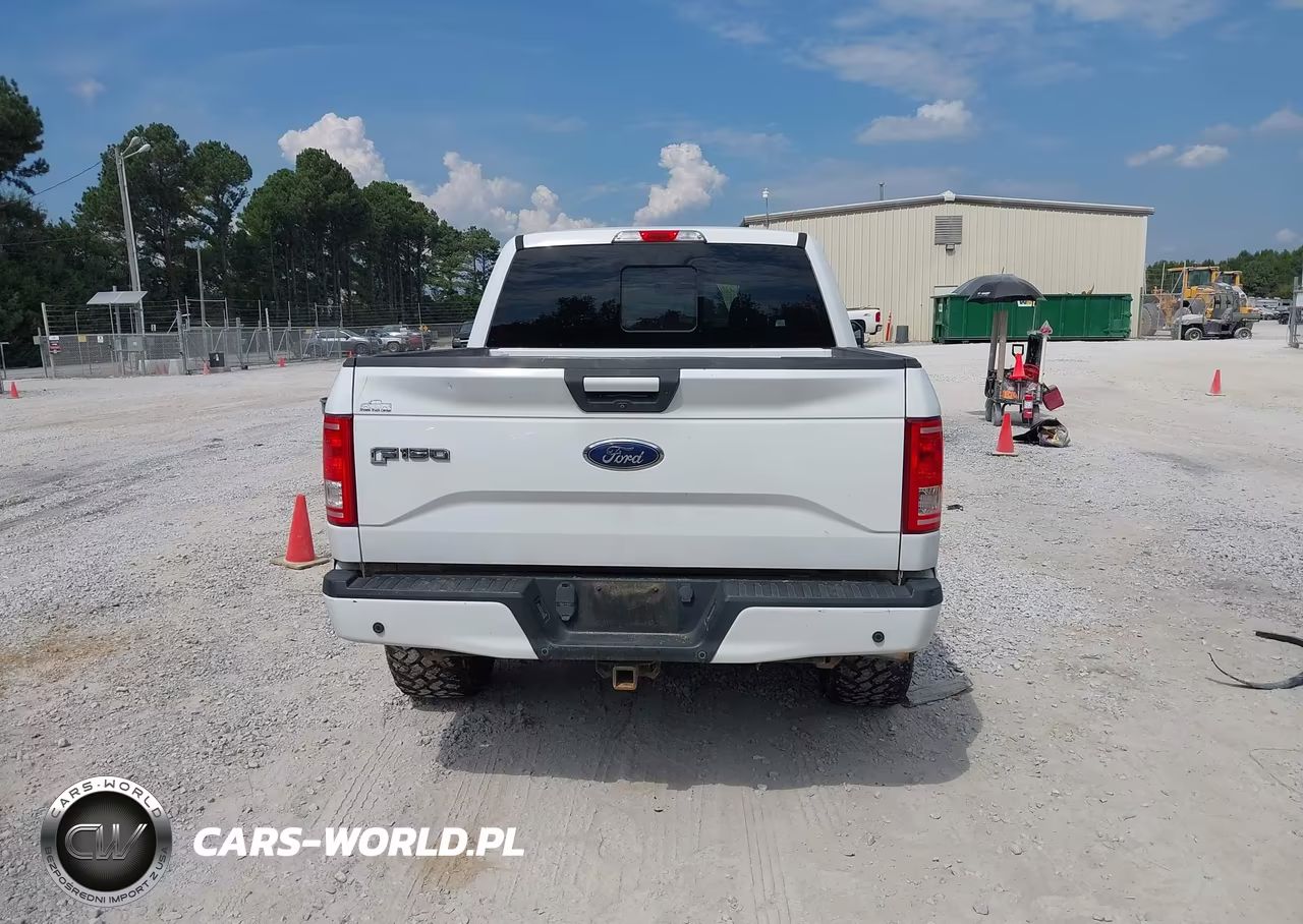 2016 Ford F-150 Xlt VIN:1FTEW1EG5GKD12815 - 16