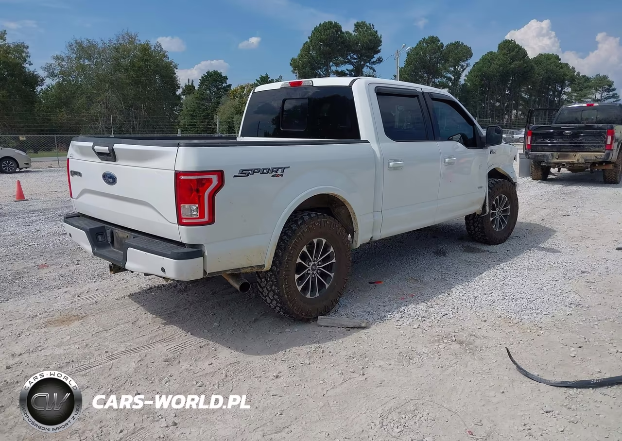 2016 Ford F-150 Xlt VIN:1FTEW1EG5GKD12815 - 4