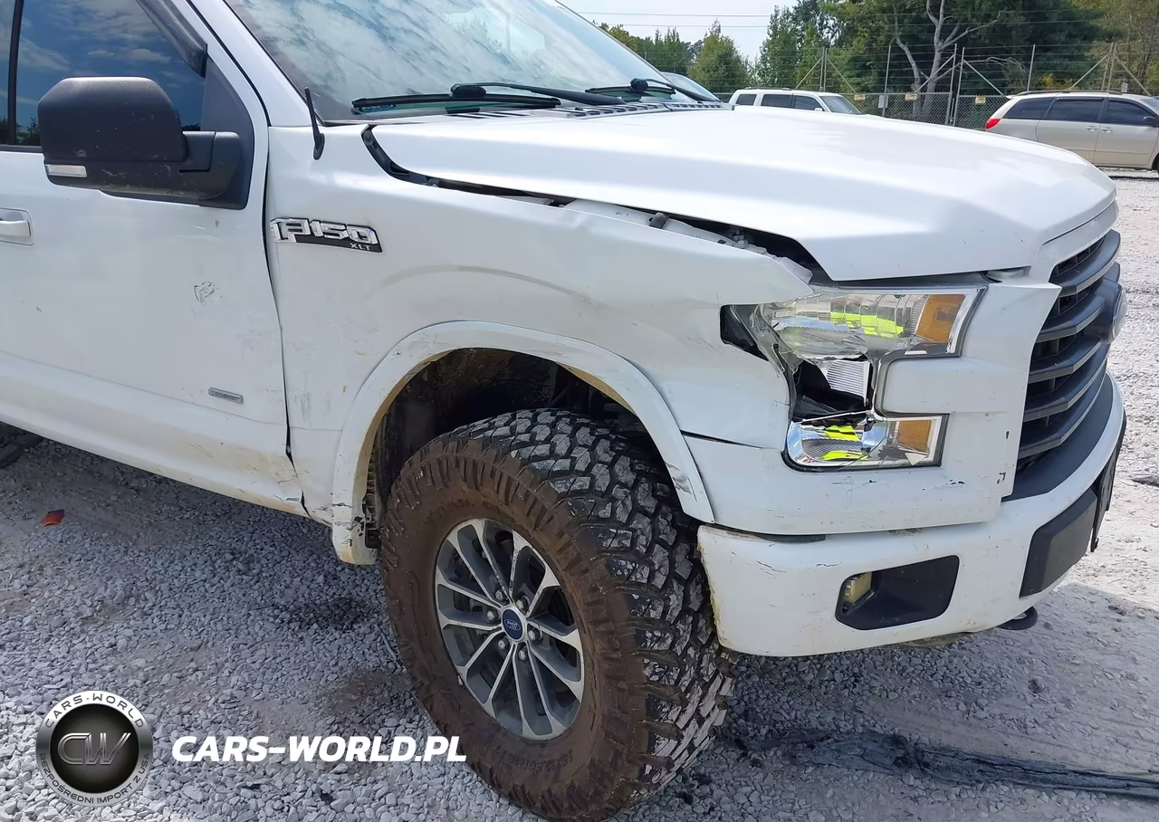 2016 Ford F-150 Xlt VIN:1FTEW1EG5GKD12815 - 6