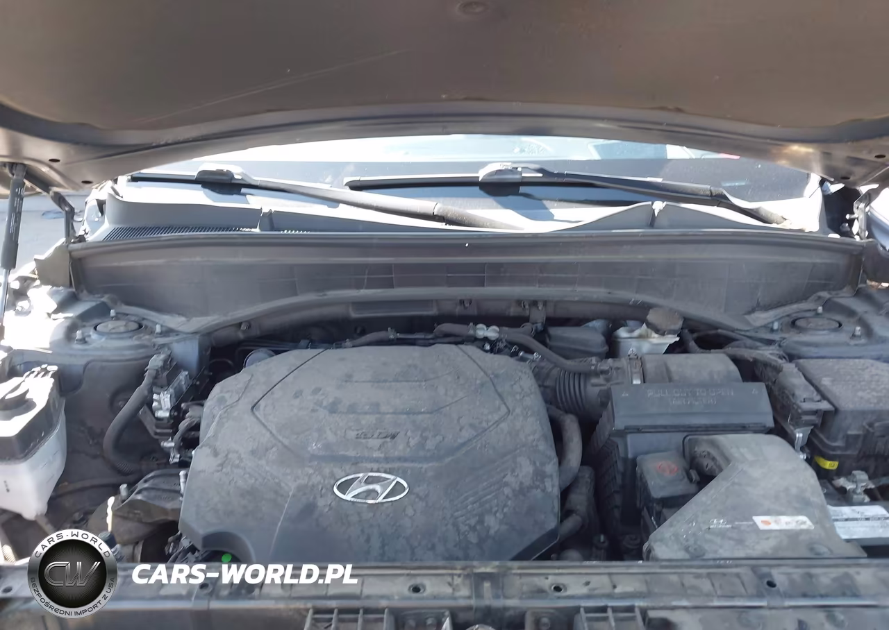 2021 Hyundai Palisade Calligraphy VIN:KM8R7DHE5MU274489 - 10
