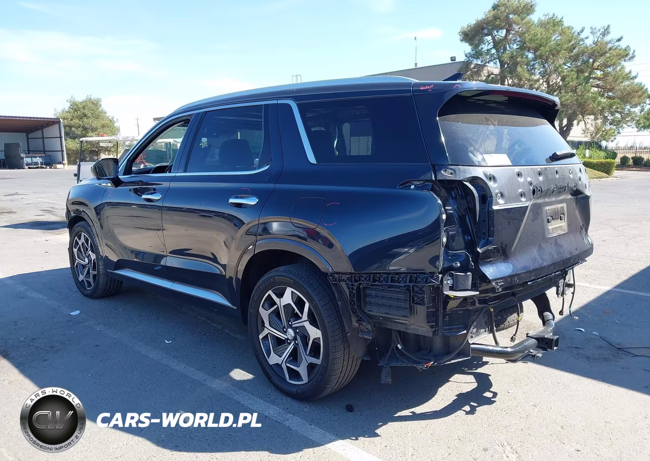 2021 Hyundai Palisade Calligraphy VIN:KM8R7DHE5MU274489 - 3