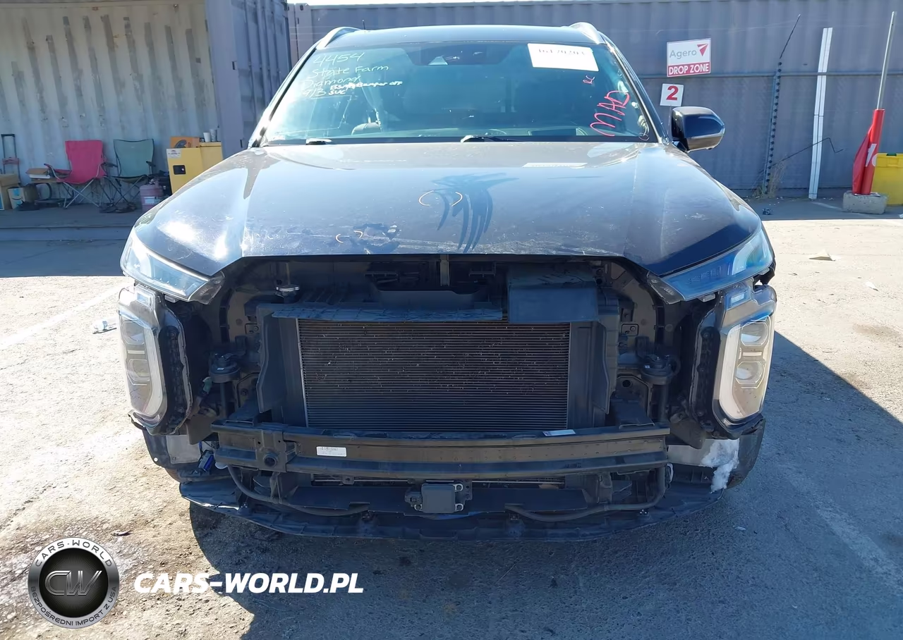 2021 Hyundai Palisade Calligraphy VIN:KM8R7DHE5MU274489 - 6