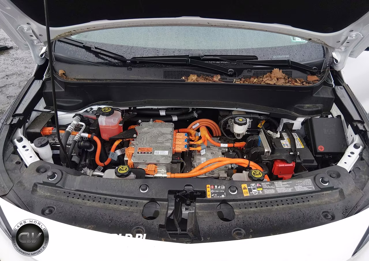 2023 Chevrolet Bolt Euv Fwd Premier VIN:1G1FZ6S09P4137742 - 10