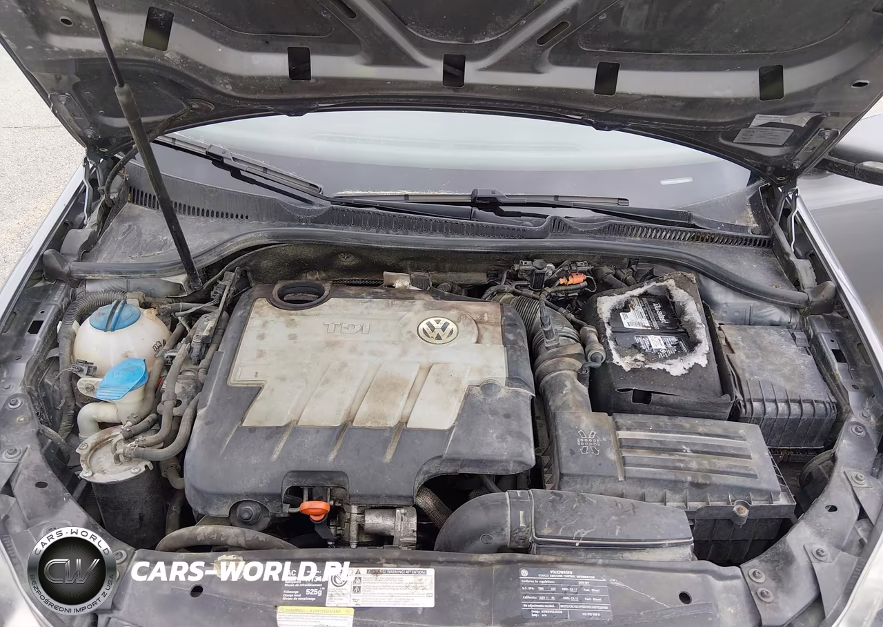 2010 Volkswagen Golf Tdi VIN:WVWBM7AJ2AW303888 - 10