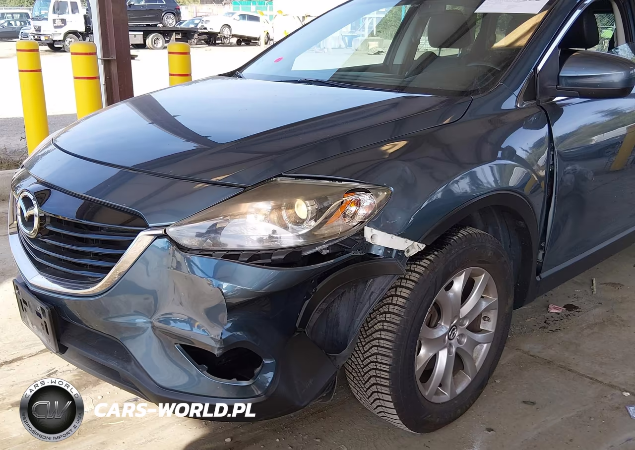 2015 Mazda Cx-9 Touring VIN:JM3TB3CV6F0466306 - 6