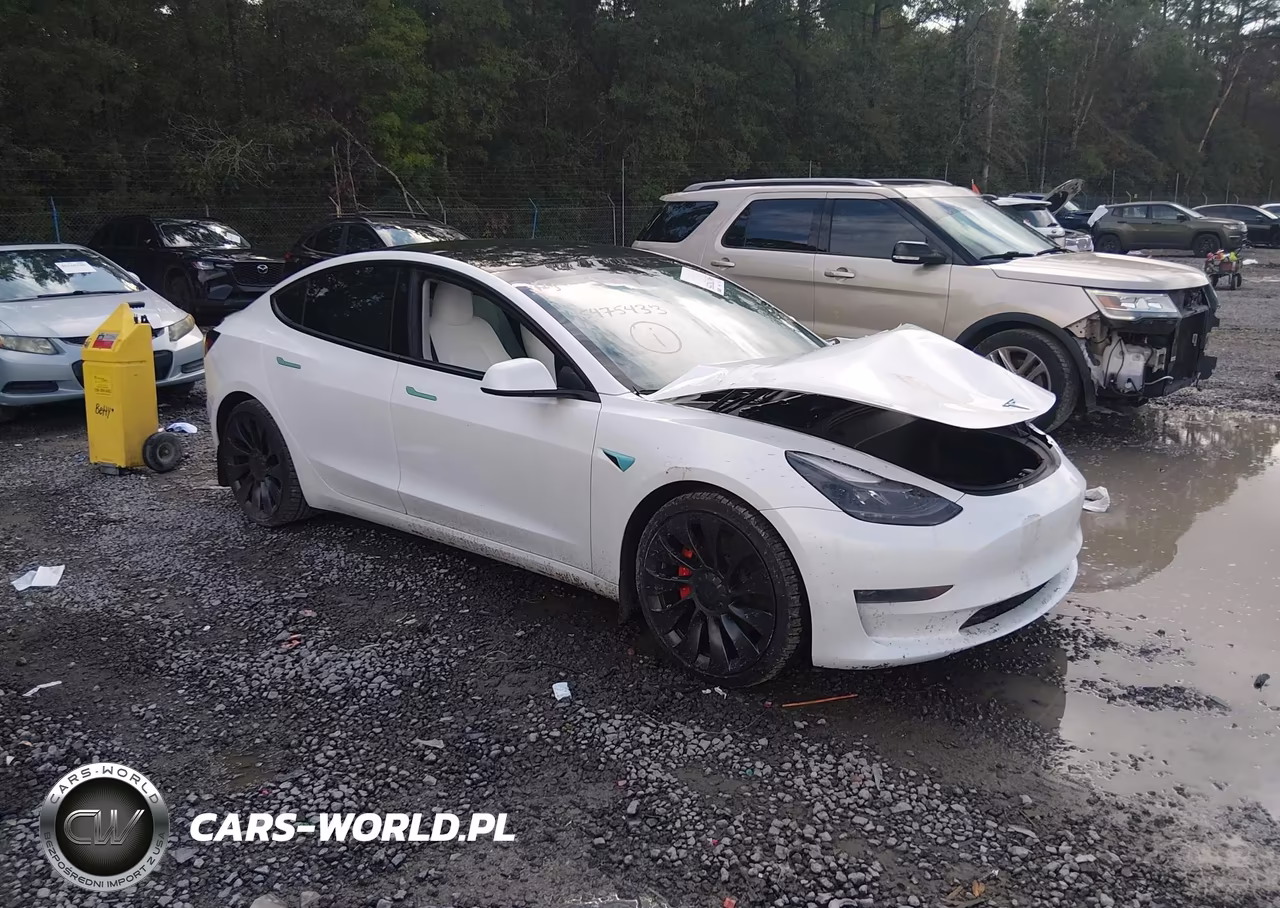 2023 Tesla Model 3 Performance Dual Motor All-Wheel Drive VIN:5YJ3E1EC1PF504513 - 1