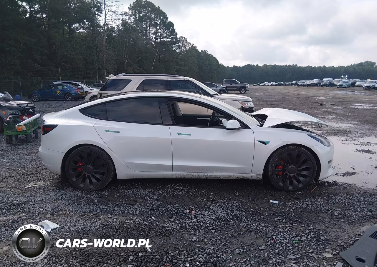 2023 Tesla Model 3 Performance Dual Motor All-Wheel Drive VIN:5YJ3E1EC1PF504513 - 13