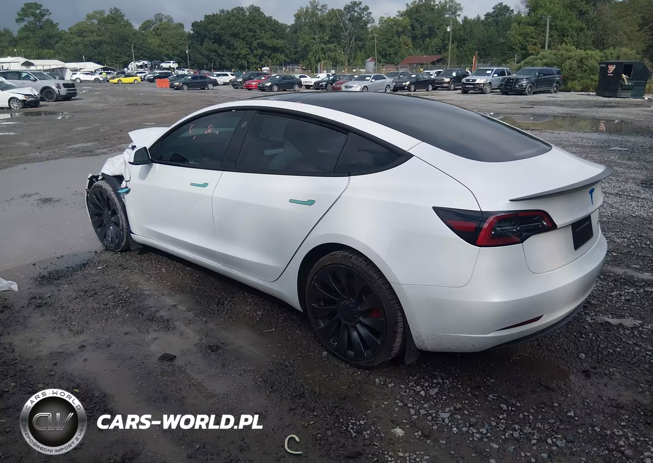 2023 Tesla Model 3 Performance Dual Motor All-Wheel Drive VIN:5YJ3E1EC1PF504513 - 3