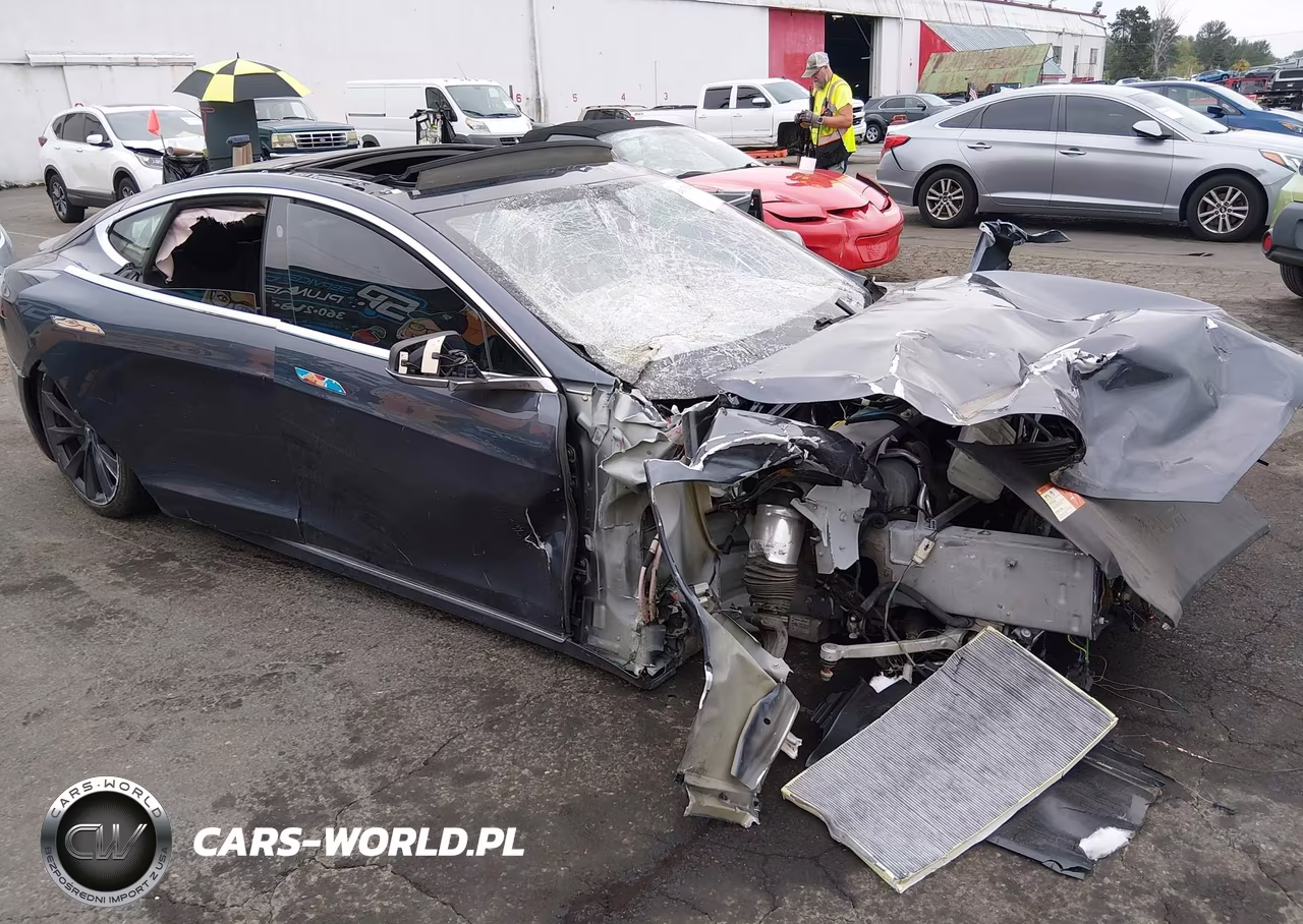 2018 Tesla Model S 100D-75D-P100D VIN:5YJSA1E45JF248111 - 1