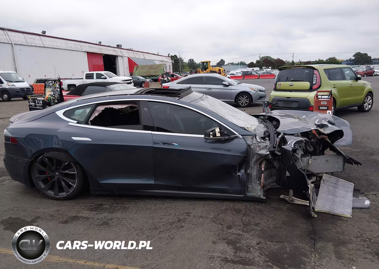 2018 Tesla Model S 100D-75D-P100D VIN:5YJSA1E45JF248111 - 13