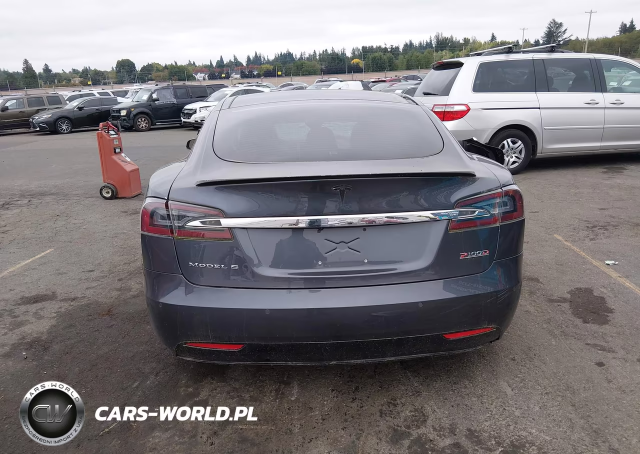 2018 Tesla Model S 100D-75D-P100D VIN:5YJSA1E45JF248111 - 16