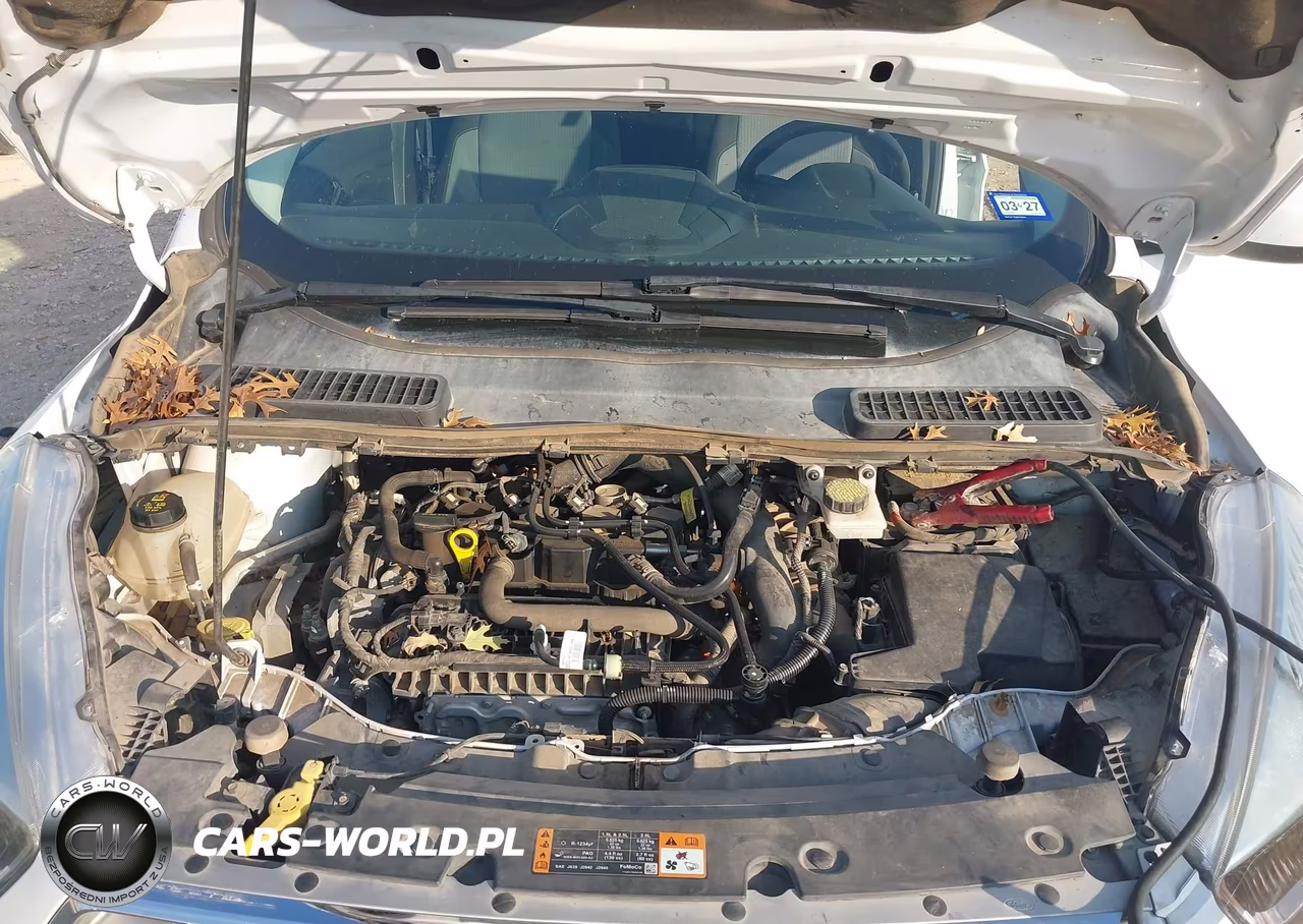 2019 Ford Escape Se VIN:1FMCU9GD0KUA18018 - 10