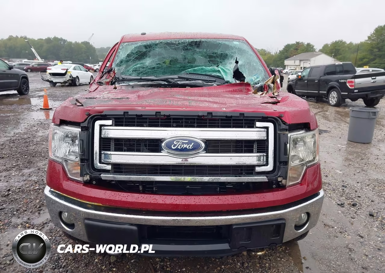 2013 Ford F-150 Xlt VIN:1FTFW1ET6DFD61320 - 12