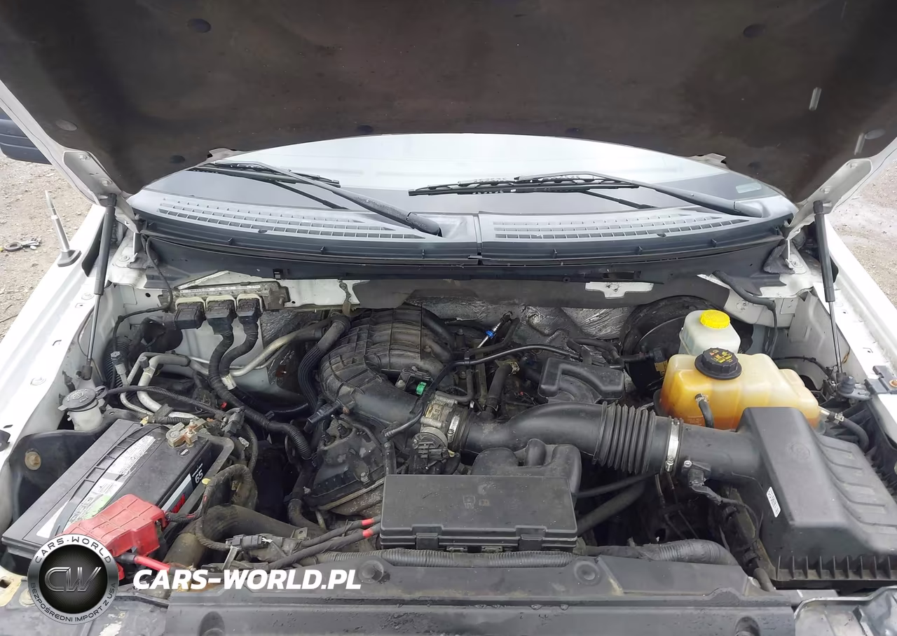 2014 Ford F-150 Xl VIN:1FTMF1CM6EKG33666 - 10