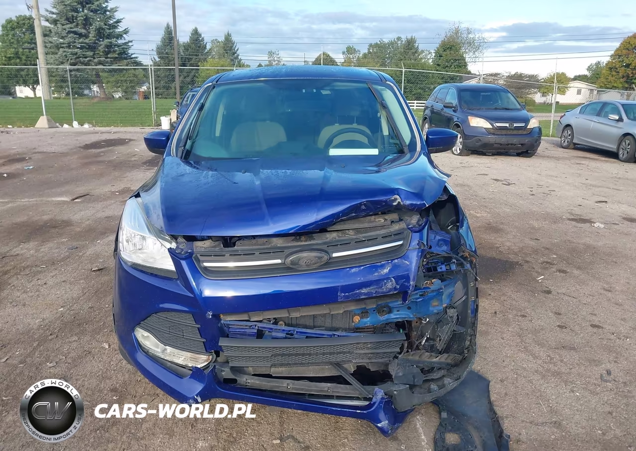 2013 Ford Escape Se VIN:1FMCU0GX8DUC53596 - 12