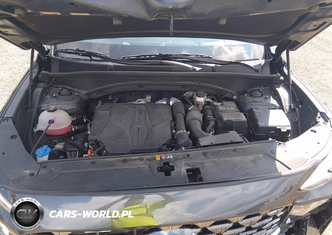 2023 Hyundai Santa Fe Calligraphy VIN:5NMS54AL8PH603931 - 10