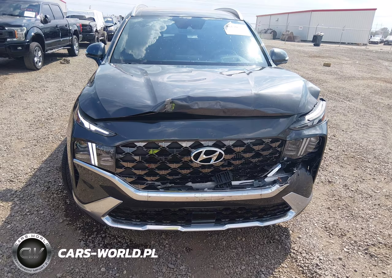 2023 Hyundai Santa Fe Calligraphy VIN:5NMS54AL8PH603931 - 13