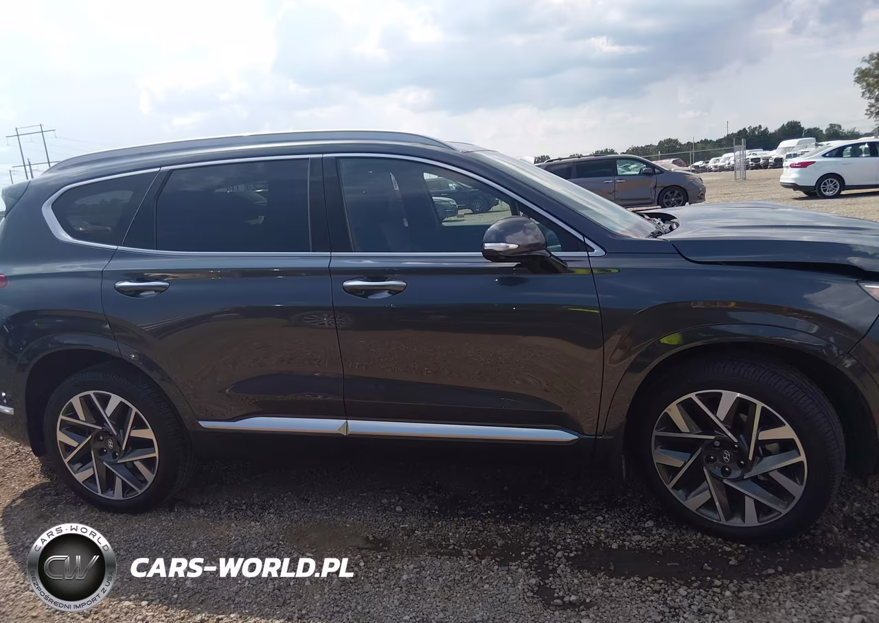2023 Hyundai Santa Fe Calligraphy VIN:5NMS54AL8PH603931 - 14