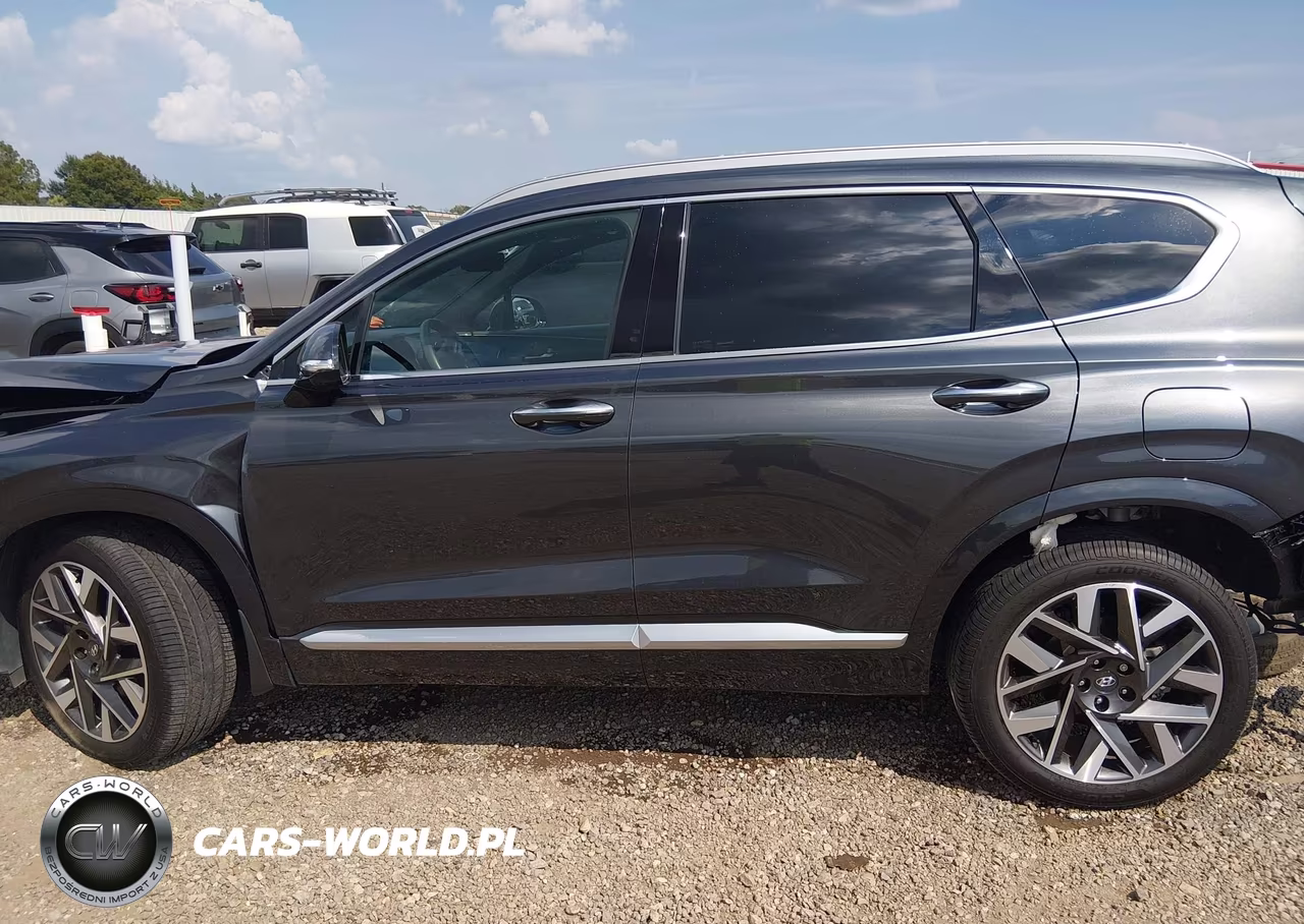 2023 Hyundai Santa Fe Calligraphy VIN:5NMS54AL8PH603931 - 15