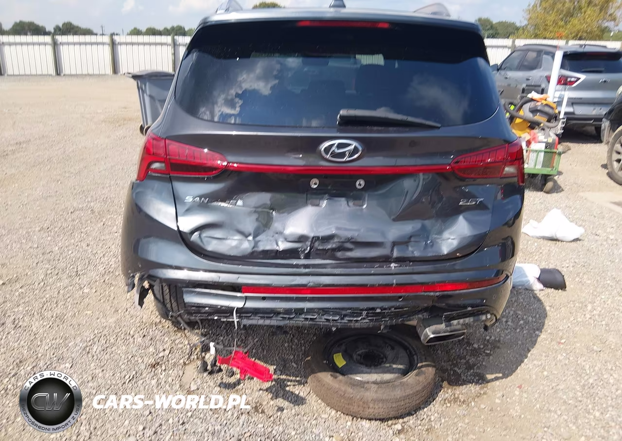 2023 Hyundai Santa Fe Calligraphy VIN:5NMS54AL8PH603931 - 17