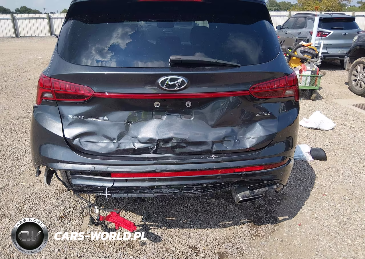 2023 Hyundai Santa Fe Calligraphy VIN:5NMS54AL8PH603931 - 18