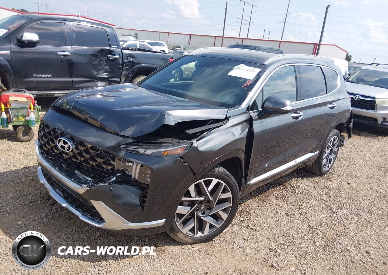 2023 Hyundai Santa Fe Calligraphy VIN:5NMS54AL8PH603931 - 2