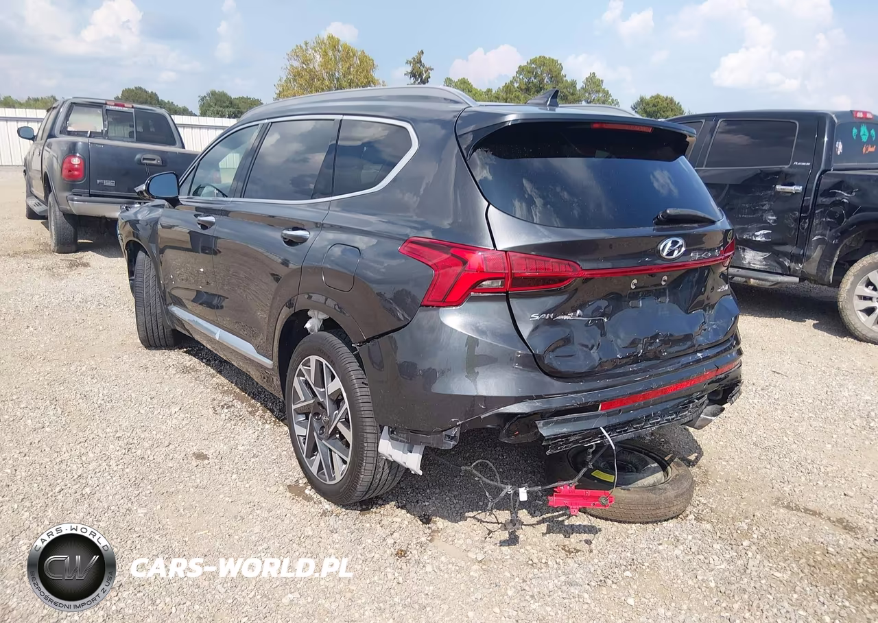 2023 Hyundai Santa Fe Calligraphy VIN:5NMS54AL8PH603931 - 3