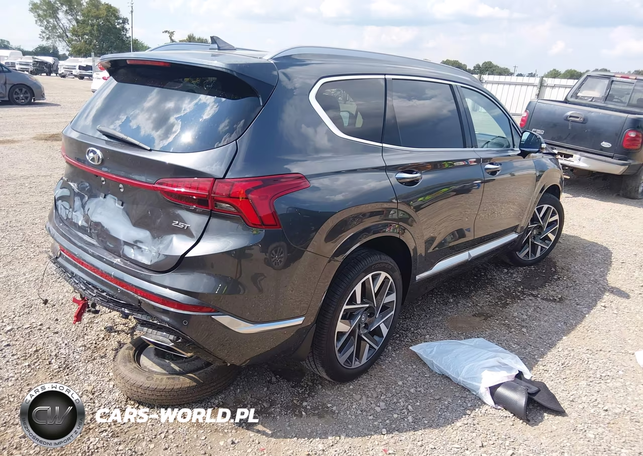 2023 Hyundai Santa Fe Calligraphy VIN:5NMS54AL8PH603931 - 4