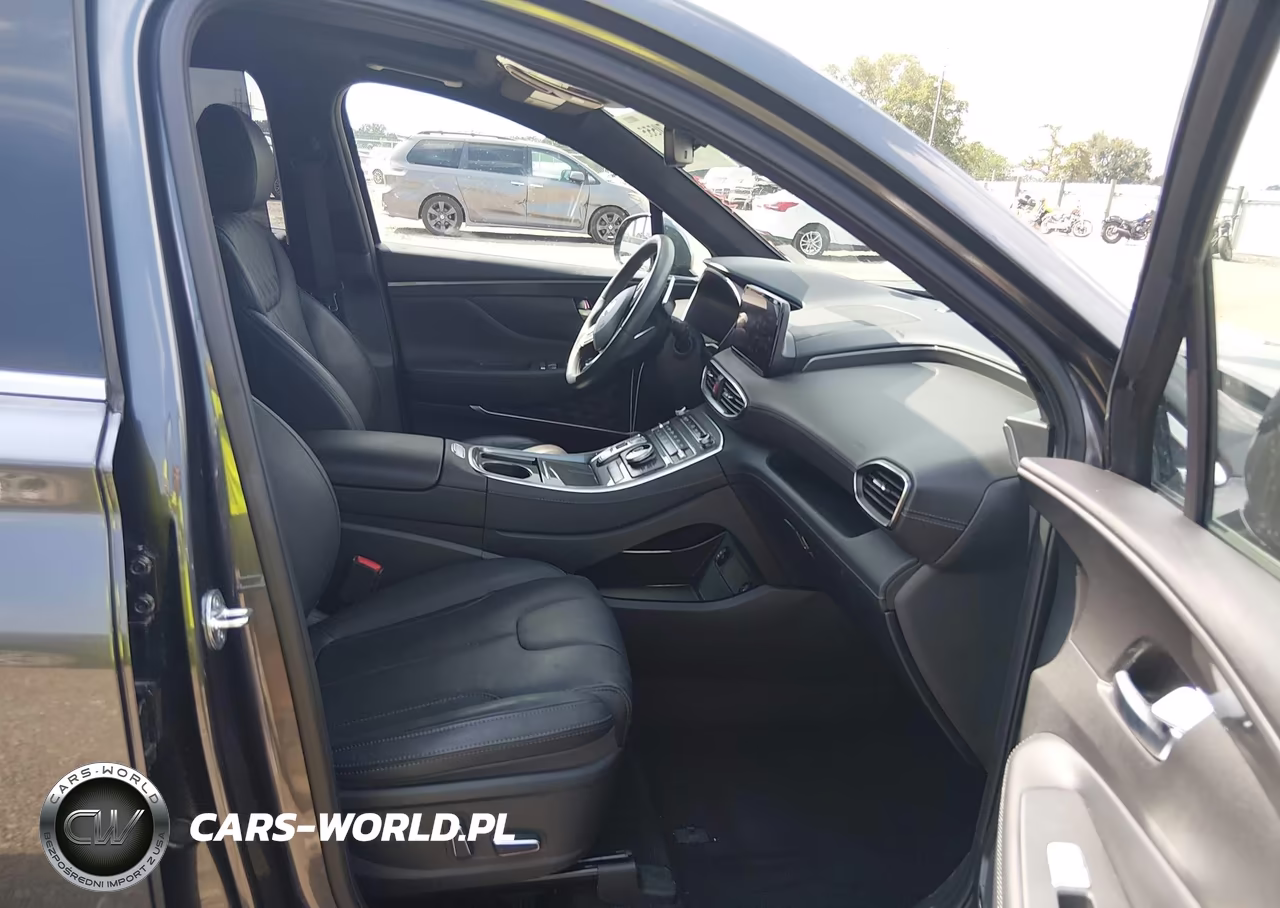 2023 Hyundai Santa Fe Calligraphy VIN:5NMS54AL8PH603931 - 5